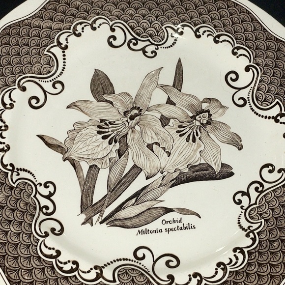 Staffordshire English Ironstone Tableware Dinner & Bread Plates England - Picture 3 of 9